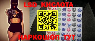 дживик Можга