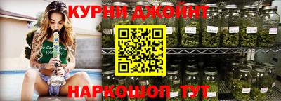 дживик Можга