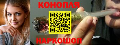 дживик Можга