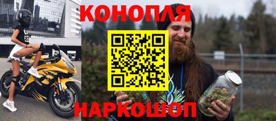 дживик Можга
