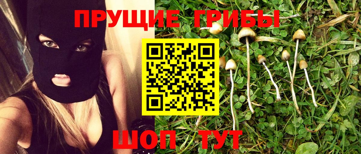 Псилоцибиновые грибы Psilocybine cubensis  Вход с VPN  Соль-Илецк  Псилоцибиновые грибы прущие грибы 